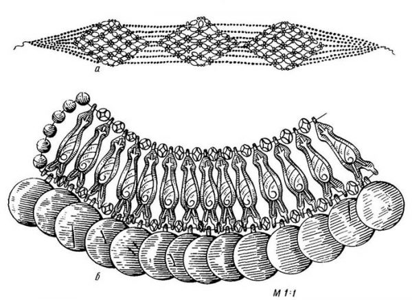 Нашейные украшения: а - "хафабанд" (Южный Таджикистан); б "тавки-гули" (Северный Таджикистан)